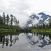 Mount Baker- Lake- Fir Trees And  Fog Art Print