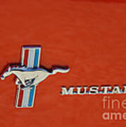 Mustang Art Print