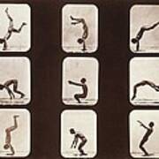 Muybridge Motion Study, 1870s Art Print