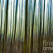 Abstract Trees Art Print