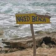 Nude Beach Amateur