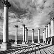 National Arboretum - Capitol Columns Art Print