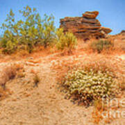 Nature's Cairn Art Print