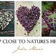 Nature's Heart Art Print