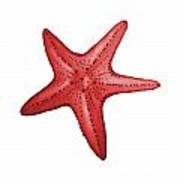 Nautical Red Starfish Art Print