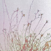 Nerve Cell Culture Art Print