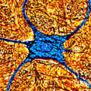 Neuron Art Print