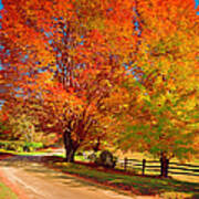 New England Autumn Country Road Art Print