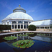 New York Botanical Gardens Art Print