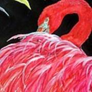 Night Flamingo Art Print