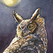 Night Owl Art Print