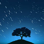 Night Sky With Tree And Moving Stars Art Print
