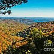 North Carolina Fall Foliage Art Print