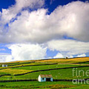 North Pennines Barns In Landscape Art Print