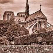 Notre Dame In Sepia Art Print