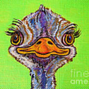 O For Ostrich Art Print