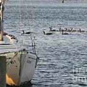 Ocracoke Boats And Birds Art Print