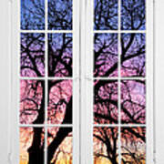 Old 16 Pane White Window Colorful Sunset Tree View Art Print