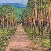 Old Logging Road Art Print