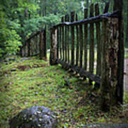 Old Rustic Fence Art Print