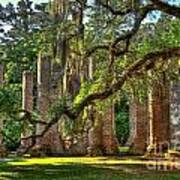 Old Sheldon Church Majestic Live Oak Trees South Carolina Low Country Architectural Art Art Print