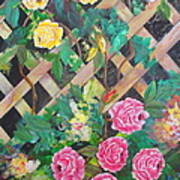 Old Trellis Roses Art Print