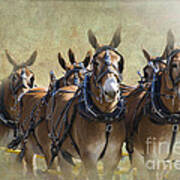 Old West Mule Train Art Print