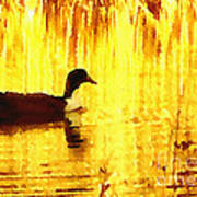 On Golden Pond Art Print