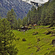 On The Train To Zermatt Art Print