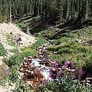 On Top Of The Continental Divide In The Rocky Mountains Art Print