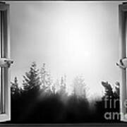 Open Window At Night Bw Art Print