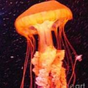 Orange Jellyfish Art Print