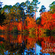 Orange Reflections Art Print