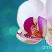 Orchid Jewel Art Print
