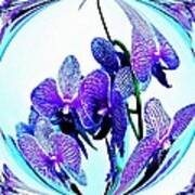 Orchid Love Art Print