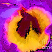 Orchid Wow Art Print