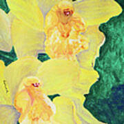 Orchid Yellow Art Print