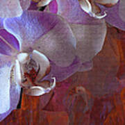 Orchidelia 5 Art Print