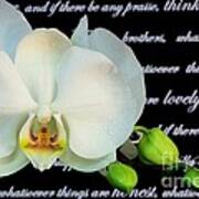 Orchids And Scripture Art Print