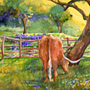 Out To Pasture Art Print