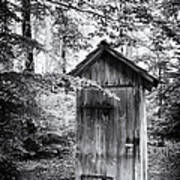 Outhouse In The Forest Black And White Art Print