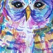 Owl-barred Owl-rainbow-close Crop Art Print