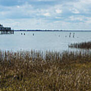 Oyster Shack And Tall Grass Art Print