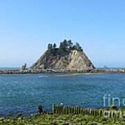 Pacific Coast At La Push Art Print