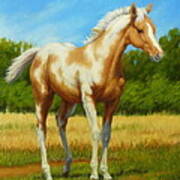 Paint Foal Art Print