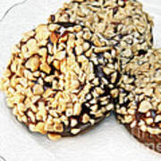 Painted Chocolate Fudge Nut Donuts Art Print
