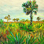 Palm And Palmetto Art Print