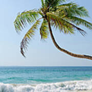 Palm Tree On White Sand Beach Art Print