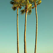 Palm Trees By The Pacific Ocean Art Print