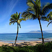 Palm Trees On The Beach, Maui, Hawaii Art Print